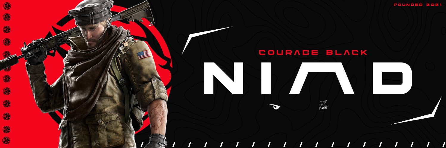 Niad banner