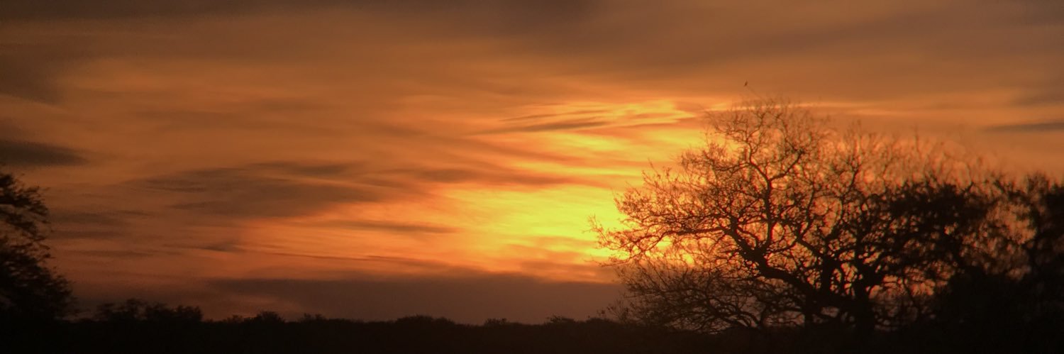 ChiarelliJuan's profile banner image