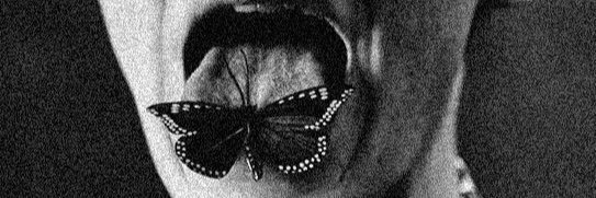cendan56's profile banner image