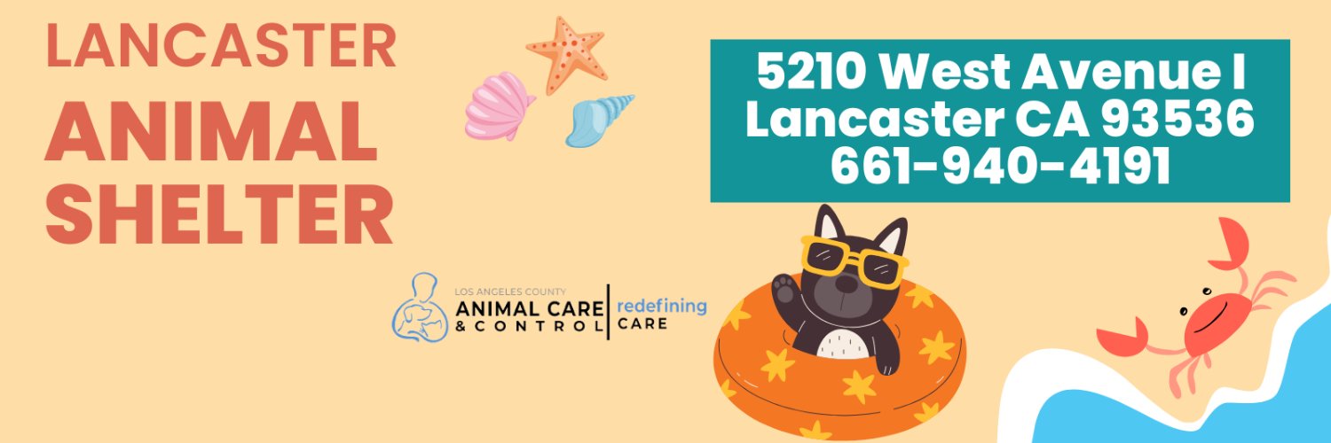 LancasterAnimalShelt's banner