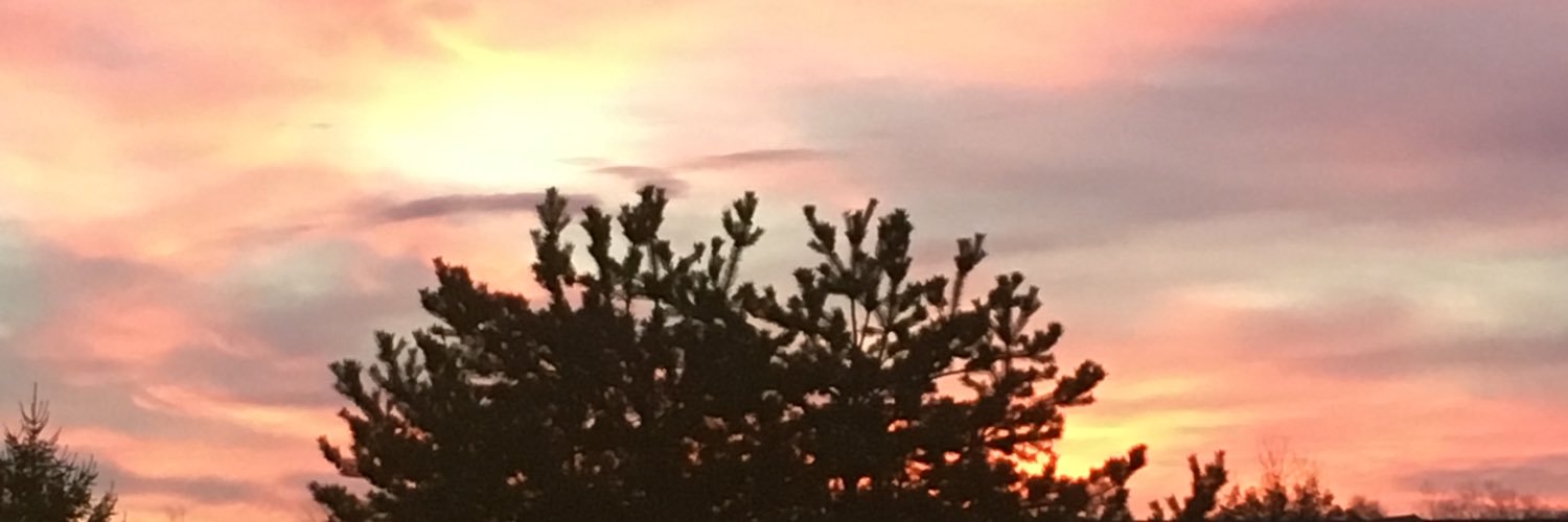 lisageggie's profile banner image