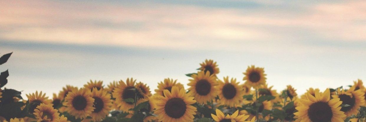 vaishBaby's profile banner image
