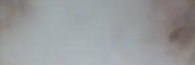 disturbedolans's profile banner image