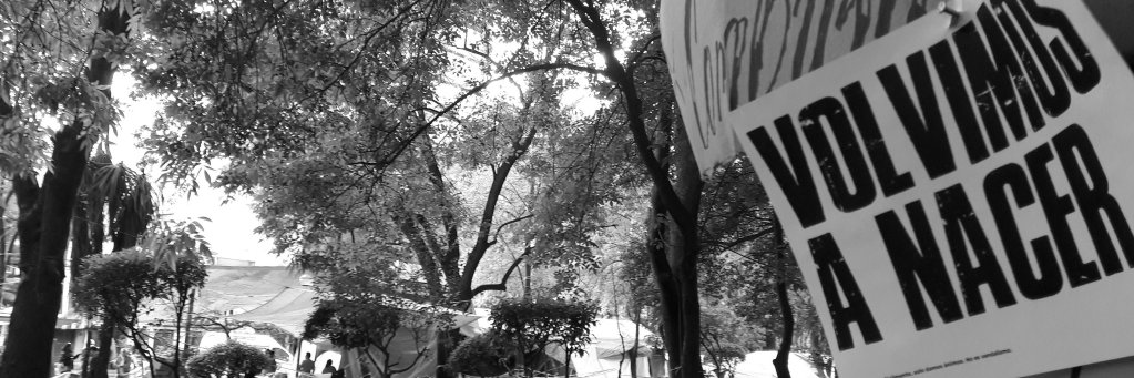 Roberto Abraham banner