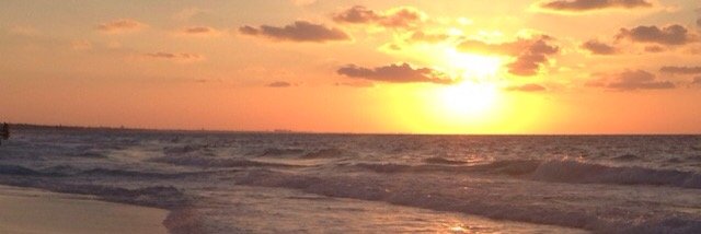 SeifElDinT's profile banner image