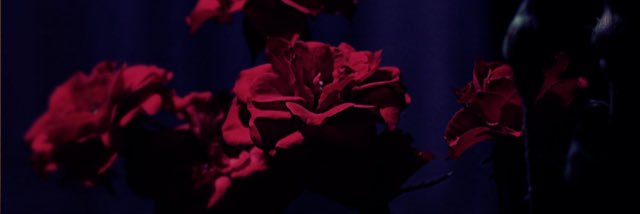 talkingfatties's profile banner image