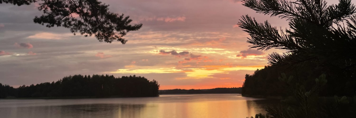 mindybernstein's profile banner image