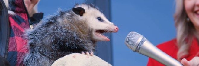 joeedmonds's profile banner image