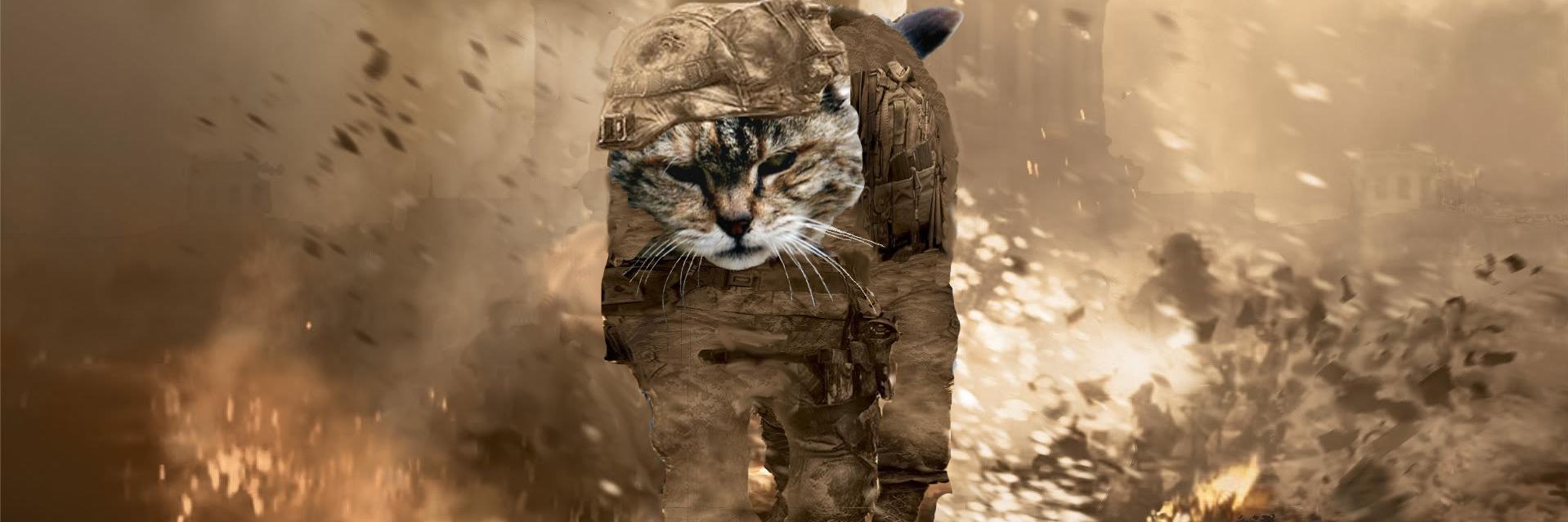 SkyCat22's profile banner image