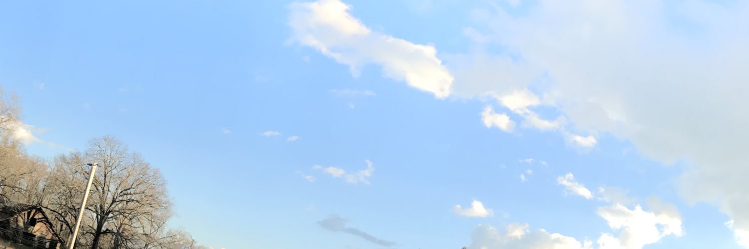 shuler burton banner