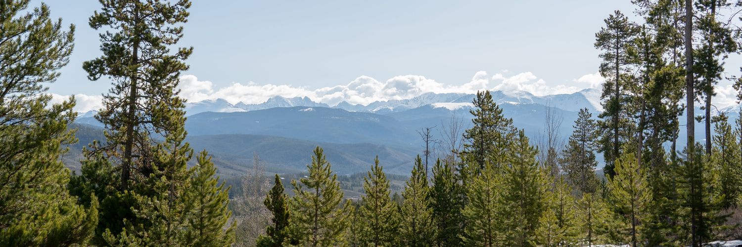 rarkmeece's profile banner image