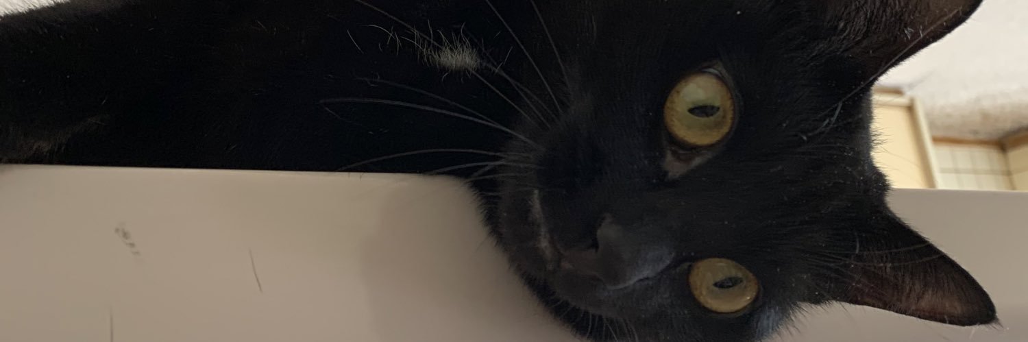 dancing_p_cat's profile banner image
