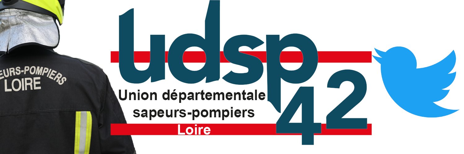 UDSP 42 banner