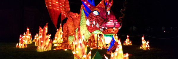 Neonatal_ed Profile Banner