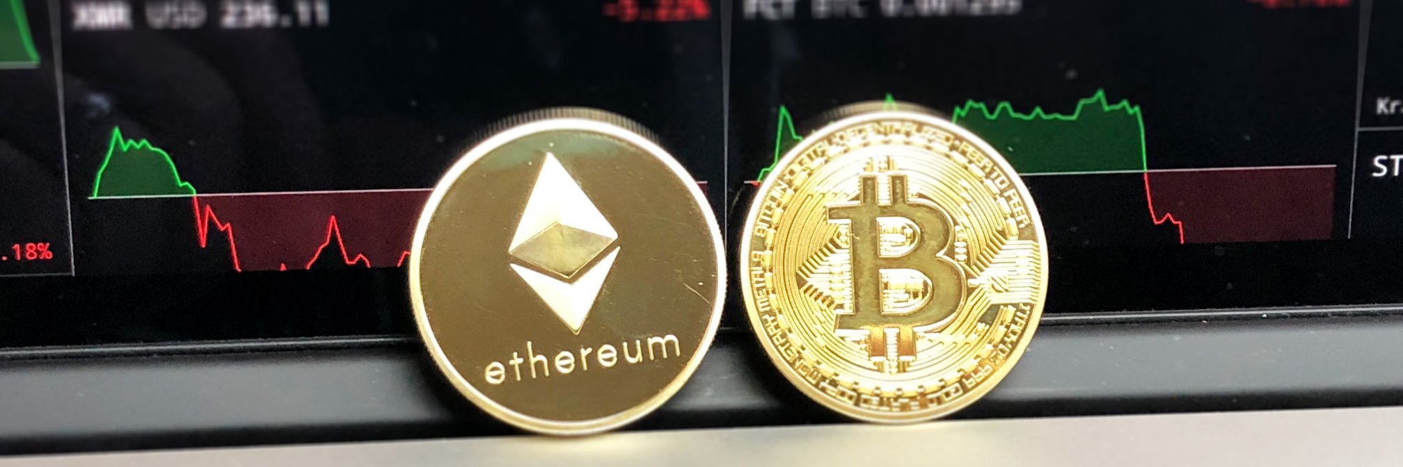 Tiger_Altcoin's profile banner image