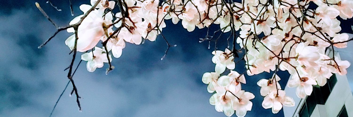 mustmint24's profile banner image