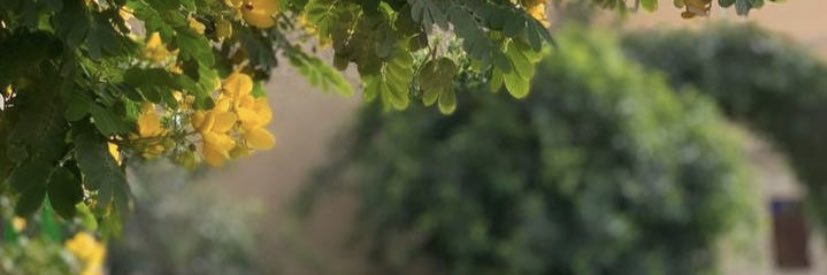 ‏صآإلحـ 𝒮𝒜ℒℋ𝒜 ــــ♥̨̥̬̩ــةٍ banner