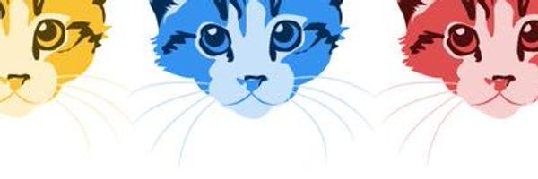 EmbassyCat Profile Banner