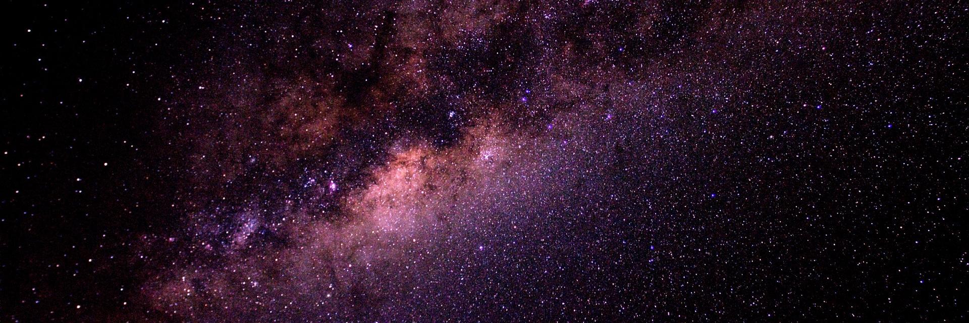 Daniel Rainer banner