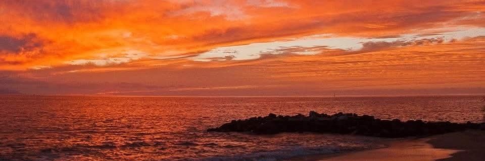 marci_2017's profile banner image