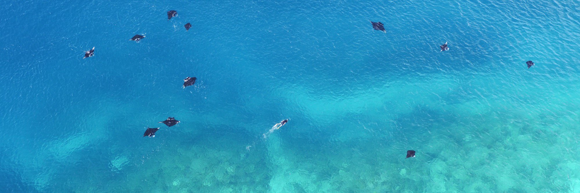 Sonja Betschart banner