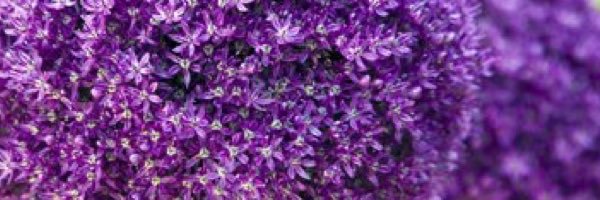 hdhfissyyr4's profile banner image