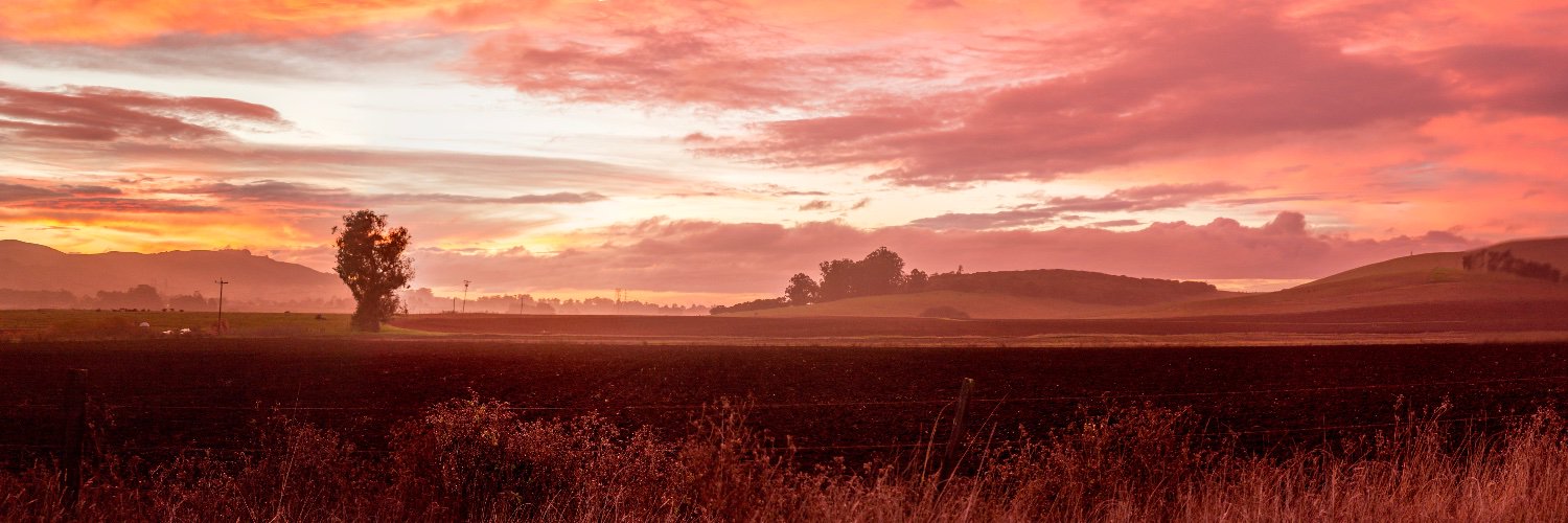 MarcMiner's profile banner image