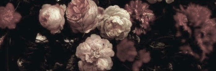 Zasnka's profile banner image