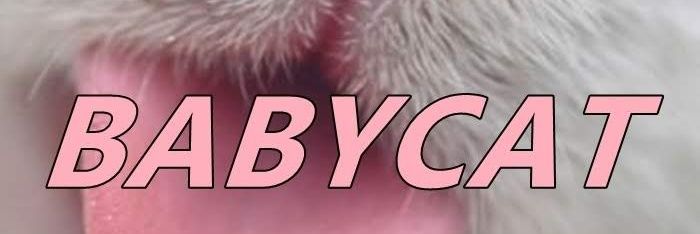 bubercilik's profile banner image