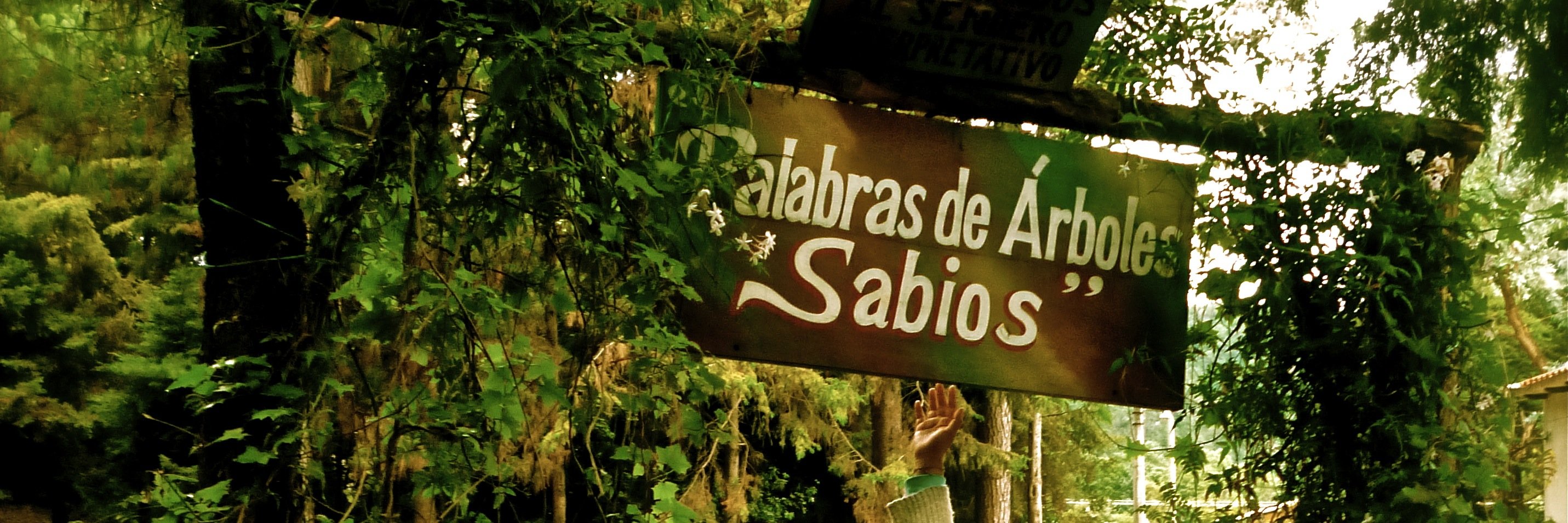arbolinux's profile banner image