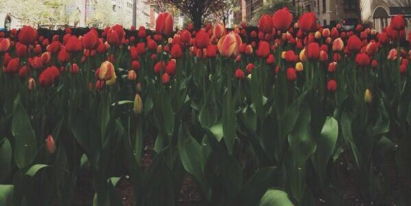 Sali90_'s profile banner image