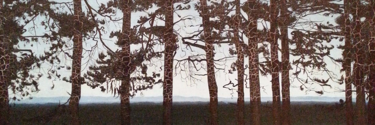 Dr Chris Neilan banner