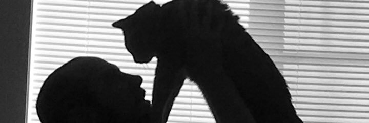 RobthePiranha's profile banner image