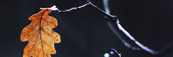 BADRMmz's profile banner image