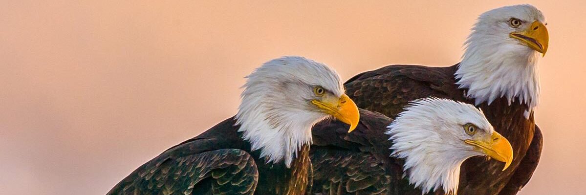 KeeterV's profile banner image