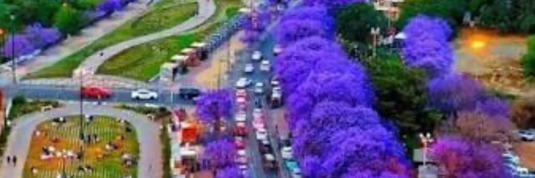 Ahmad AlaboAbthan1 banner