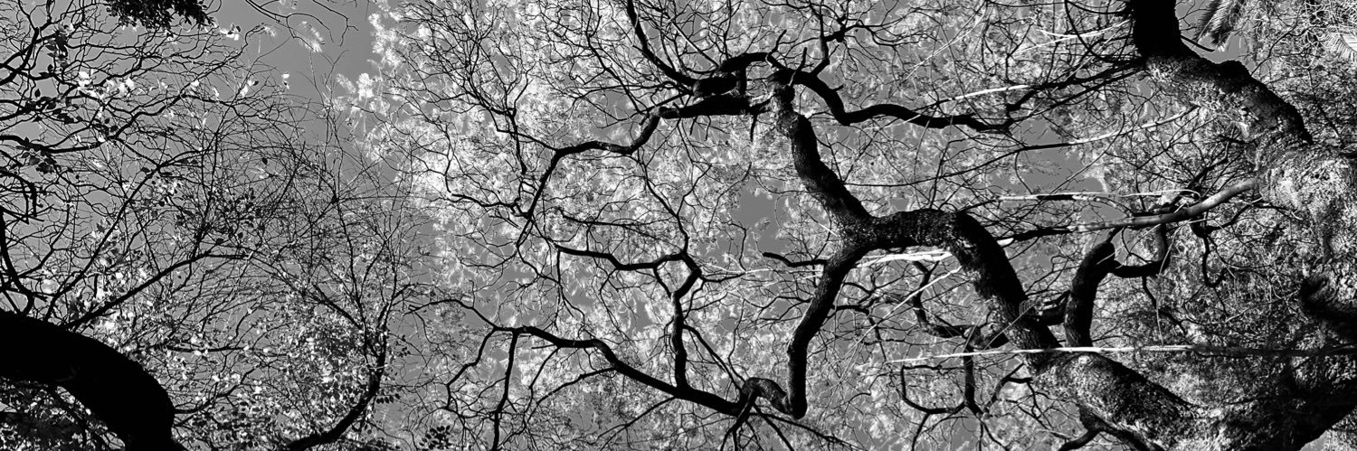 Juan Carlos Talavera banner