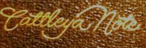 cattleya_note's profile banner image