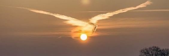 飯テロ部長タッチャンLOVE&Justice banner