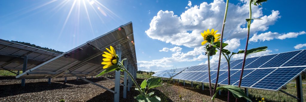 Anna Ackermann banner