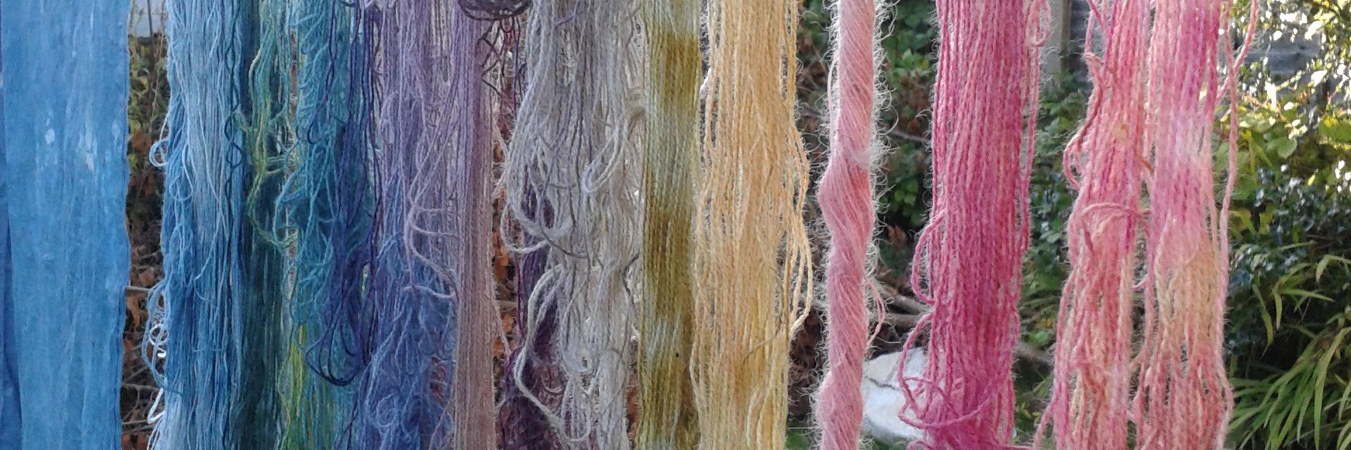 ann_battye's profile banner image