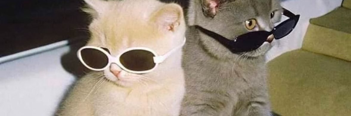 pkaaaaa_'s profile banner image