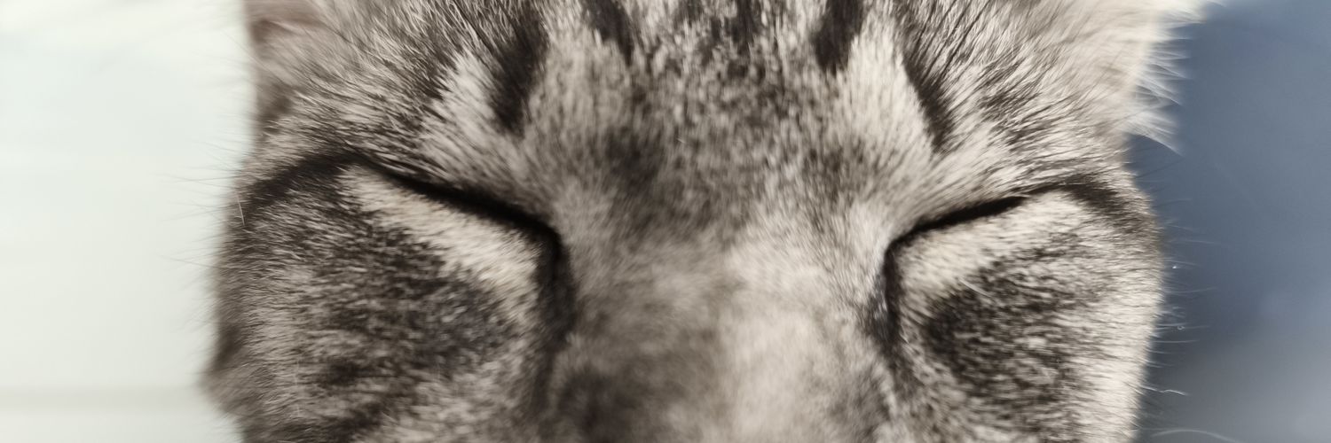 TheoClm's profile banner image