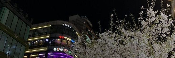 mit banner