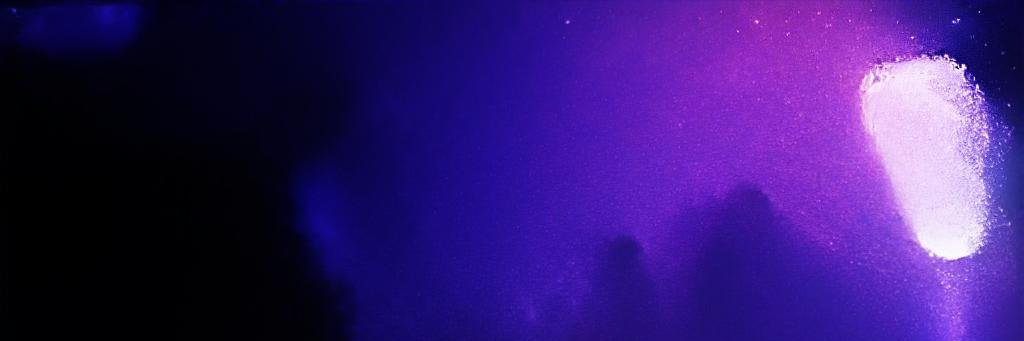 shamkya's profile banner image