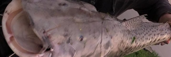 AntuanGo's profile banner image