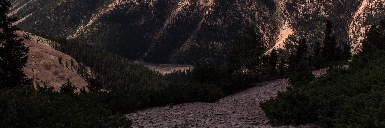 bisedabob's profile banner image