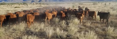 SMB Healthcare PE banner