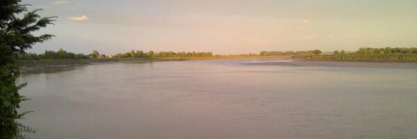 JumboKaye Profile Banner