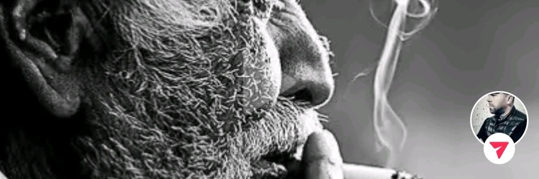 M O I banner